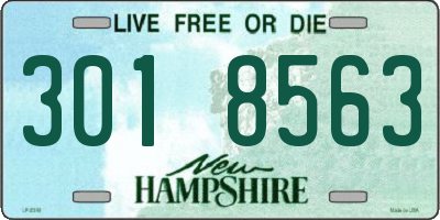 NH license plate 3018563