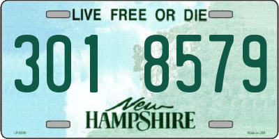 NH license plate 3018579