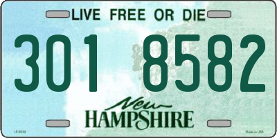 NH license plate 3018582