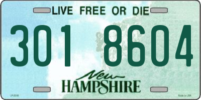 NH license plate 3018604