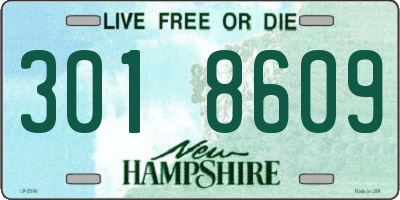 NH license plate 3018609