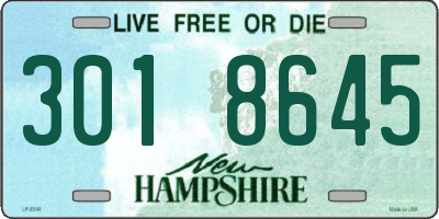 NH license plate 3018645