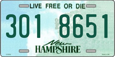 NH license plate 3018651