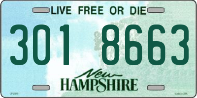 NH license plate 3018663