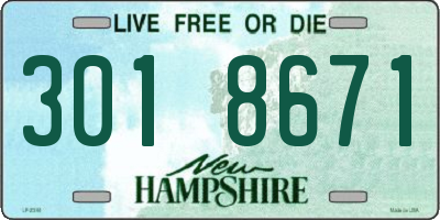 NH license plate 3018671