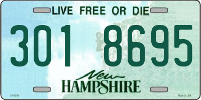 NH license plate 3018695