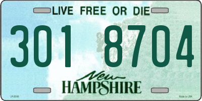 NH license plate 3018704