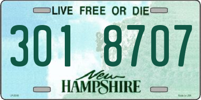 NH license plate 3018707