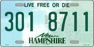 NH license plate 3018711