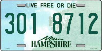 NH license plate 3018712