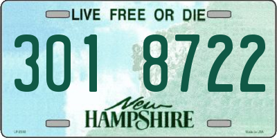 NH license plate 3018722