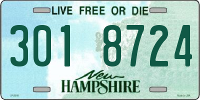 NH license plate 3018724