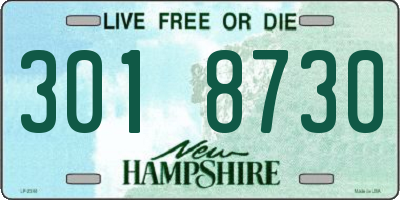 NH license plate 3018730