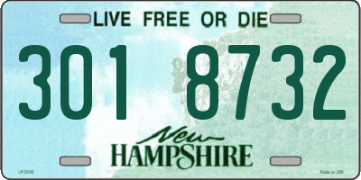NH license plate 3018732