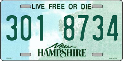 NH license plate 3018734