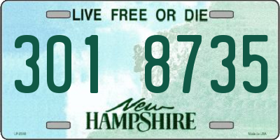 NH license plate 3018735