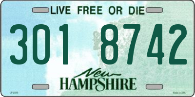 NH license plate 3018742