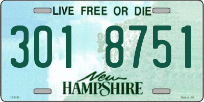 NH license plate 3018751