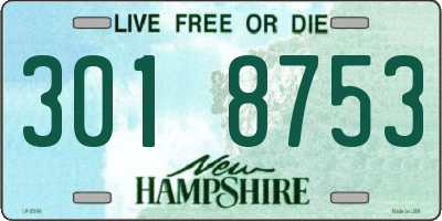 NH license plate 3018753