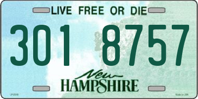 NH license plate 3018757