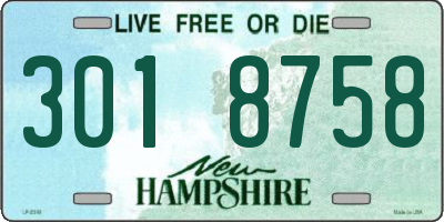NH license plate 3018758