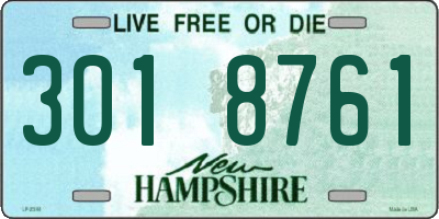 NH license plate 3018761