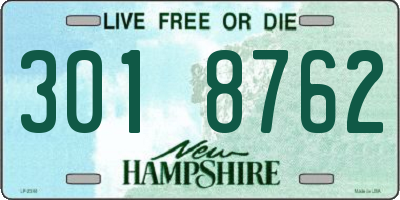 NH license plate 3018762