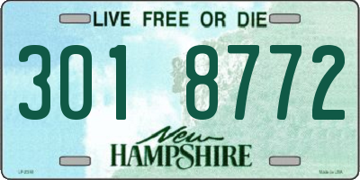NH license plate 3018772