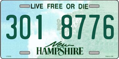 NH license plate 3018776