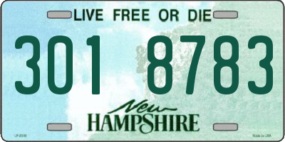 NH license plate 3018783