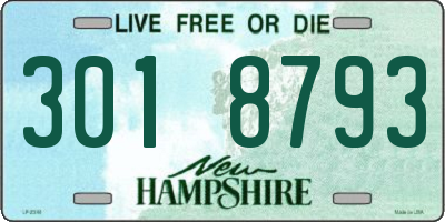 NH license plate 3018793