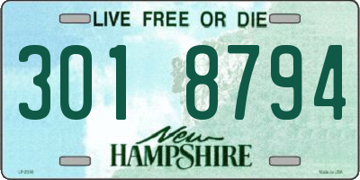 NH license plate 3018794