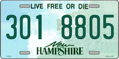 NH license plate 3018805