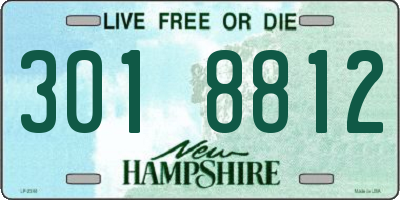 NH license plate 3018812