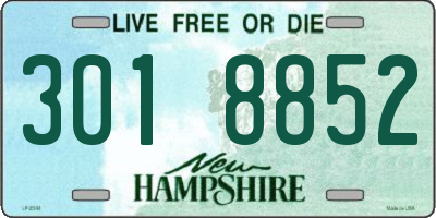 NH license plate 3018852