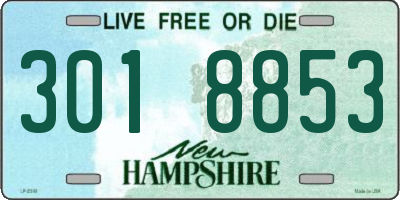 NH license plate 3018853