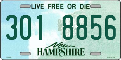 NH license plate 3018856