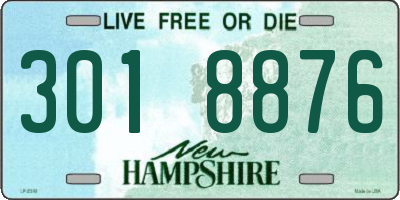 NH license plate 3018876