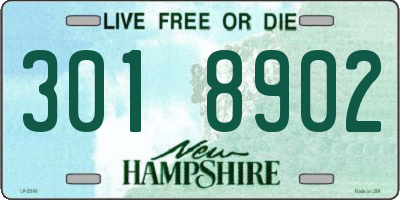 NH license plate 3018902