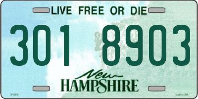 NH license plate 3018903