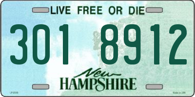 NH license plate 3018912