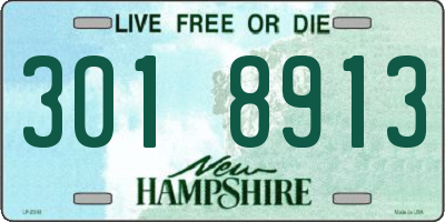 NH license plate 3018913