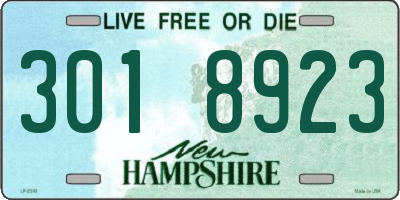 NH license plate 3018923