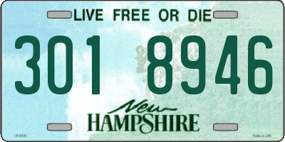 NH license plate 3018946