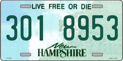 NH license plate 3018953