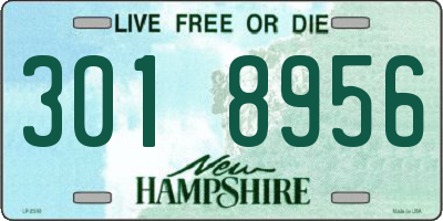 NH license plate 3018956