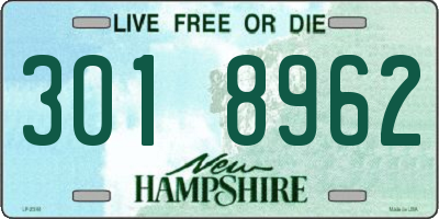 NH license plate 3018962