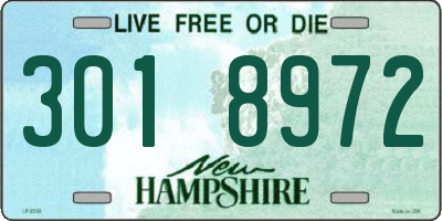 NH license plate 3018972