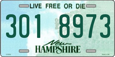 NH license plate 3018973