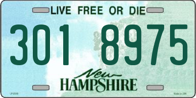 NH license plate 3018975